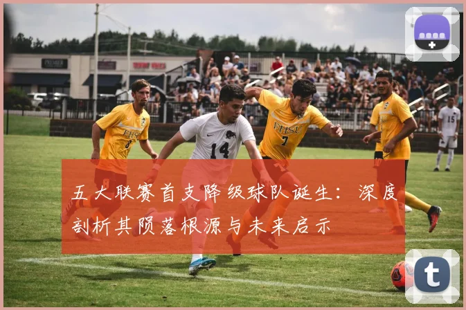 五大联赛首支降级球队诞生：深度剖析其陨落根源与未来启示